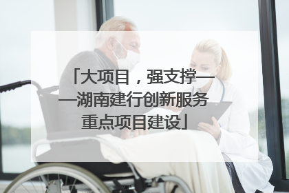 大项目，强支撑——湖南建行创新服务重点项目建设