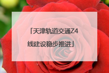 天津轨道交通Z4线建设稳步推进