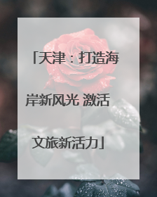 天津：打造海岸新风光 激活文旅新活力