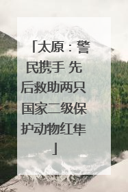 太原：警民携手 先后救助两只国家二级保护动物红隼