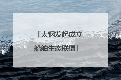 太钢发起成立船舶生态联盟