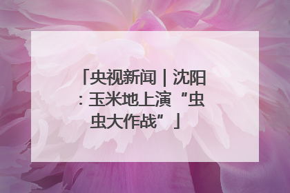 央视新闻｜沈阳：玉米地上演“虫虫大作战”