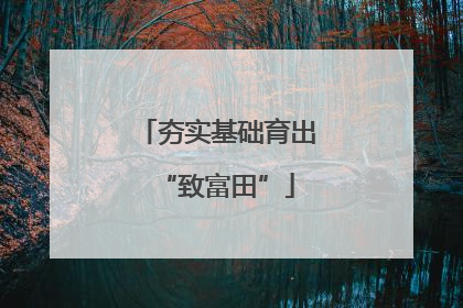 夯实基础育出“致富田”