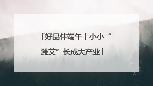 好品伴端午丨小小“潍艾”长成大产业