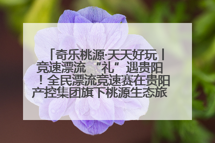 奇乐桃源·天天好玩丨竞速漂流 “礼”遇贵阳！全民漂流竞速赛在贵阳产控集团旗下桃源生态旅游度假区举行