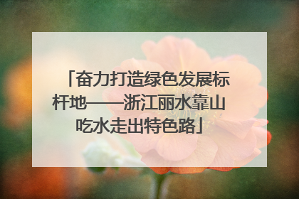 奋力打造绿色发展标杆地——浙江丽水靠山吃水走出特色路
