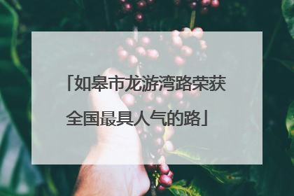 如皋市龙游湾路荣获全国最具人气的路