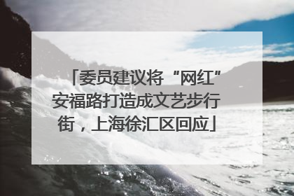 委员建议将“网红”安福路打造成文艺步行街，上海徐汇区回应