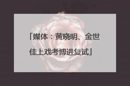 媒体：黄晓明、金世佳上戏考博进复试