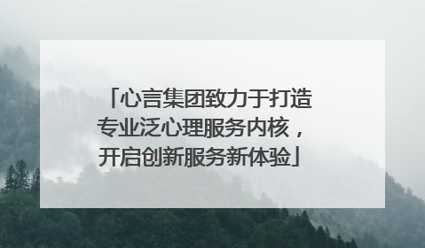 心言集团致力于打造专业泛心理服务内核，开启创新服务新体验