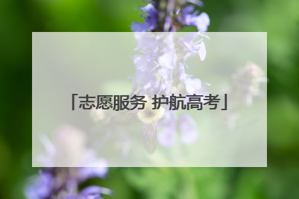 志愿服务 护航高考