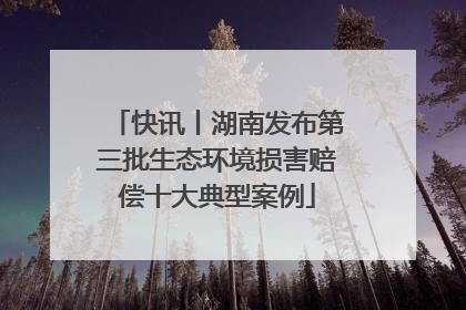 快讯丨湖南发布第三批生态环境损害赔偿十大典型案例