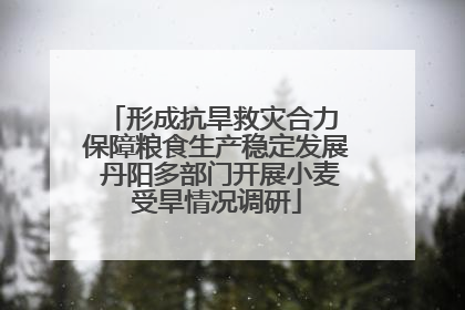 形成抗旱救灾合力 保障粮食生产稳定发展 丹阳多部门开展小麦受旱情况调研
