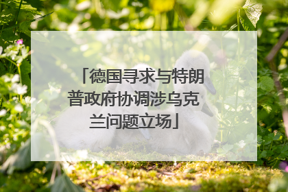 德国寻求与特朗普政府协调涉乌克兰问题立场
