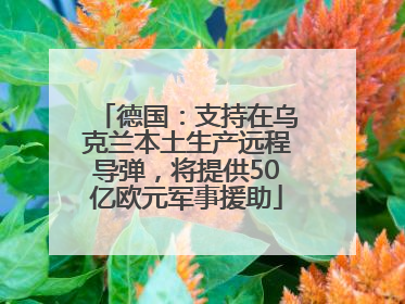 德国：支持在乌克兰本土生产远程导弹，将提供50亿欧元军事援助