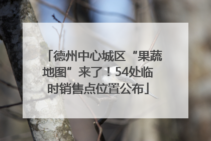 德州中心城区“果蔬地图”来了！54处临时销售点位置公布
