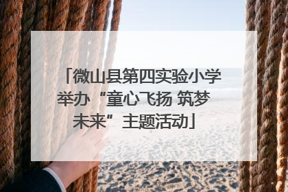 微山县第四实验小学举办“童心飞扬 筑梦未来”主题活动