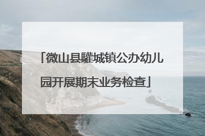 微山县驩城镇公办幼儿园开展期末业务检查