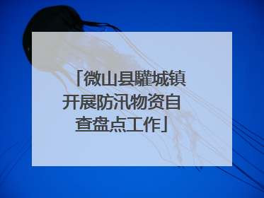 微山县驩城镇开展防汛物资自查盘点工作
