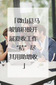 微山县马坡镇积极开展夏收工作 “秸”尽其用助增收