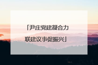 尹庄党建凝合力 联建议事促振兴
