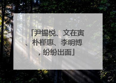 尹锡悦、文在寅、朴槿惠、李明博，纷纷出面