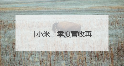 小米一季度营收再超千亿元 汽车业务贡献度超16% 卢伟冰：全力保障年度交付目标实现