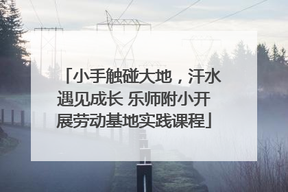 小手触碰大地，汗水遇见成长 乐师附小开展劳动基地实践课程