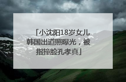 小沈阳18岁女儿韩国出道照曝光，被指撞脸孔孝真