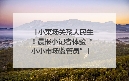 小菜场关系大民生！晨报小记者体验“小小市场监管员”