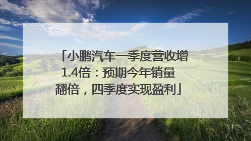 小鹏汽车一季度营收增1.4倍：预期今年销量翻倍，四季度实现盈利