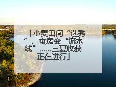 小麦田间“选秀”、蚕房变“流水线”……三夏收获正在进行