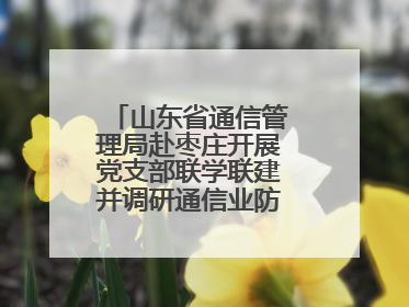 山东省通信管理局赴枣庄开展党支部联学联建并调研通信业防汛准备工作