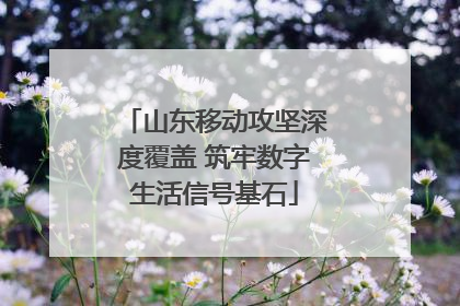 山东移动攻坚深度覆盖 筑牢数字生活信号基石