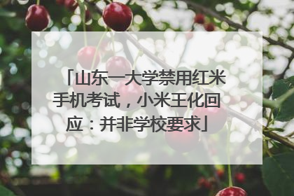 山东一大学禁用红米手机考试，小米王化回应：并非学校要求