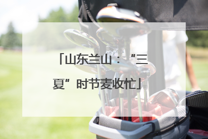 山东兰山：“三夏”时节麦收忙