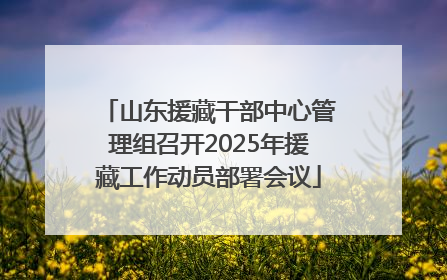 山东援藏干部中心管理组召开2025年援藏工作动员部署会议