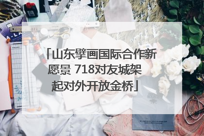山东擘画国际合作新愿景 718对友城架起对外开放金桥