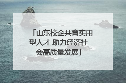 山东校企共育实用型人才 助力经济社会高质量发展
