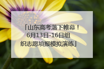 山东高考落下帷幕！6月13日-16日组织志愿填报模拟演练