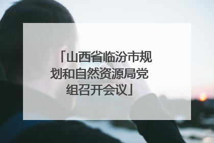 山西省临汾市规划和自然资源局党组召开会议