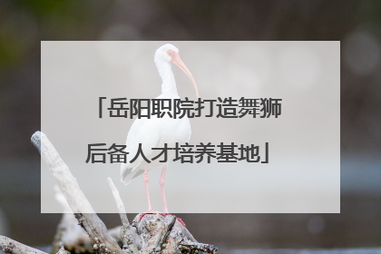 岳阳职院打造舞狮后备人才培养基地