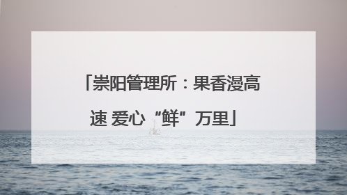 崇阳管理所：果香漫高速 爱心“鲜”万里