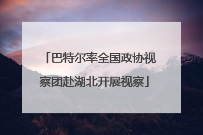 巴特尔率全国政协视察团赴湖北开展视察