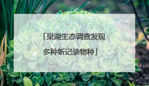 巢湖生态调查发现多种新记录物种