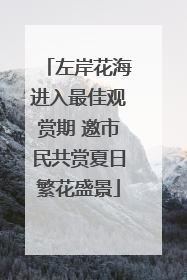 左岸花海进入最佳观赏期 邀市民共赏夏日繁花盛景