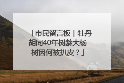 市民留言板｜牡丹胡同40年树龄大杨树因何被扒皮？