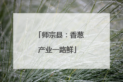 师宗县：香葱产业一路鲜