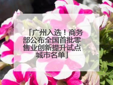 广州入选！商务部公布全国首批零售业创新提升试点城市名单