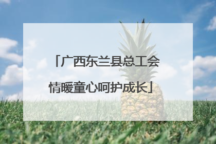 广西东兰县总工会情暖童心呵护成长